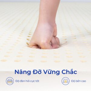 Nệm Cao Su Aroma Ultra